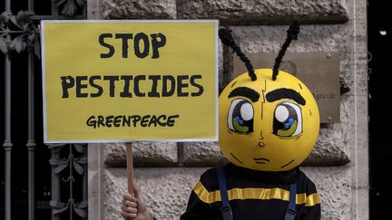 Une des nombreuses manifestations contre l'utilisation des&nbsp;néonicotinoïdes. Ici à Rome (Italie), le 11 mai 2017. (STEFANO MONTESI - CORBIS / CORBIS NEWS)