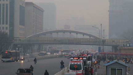 Le "smog" à Pékin 
 (SIPANY/SIPA )