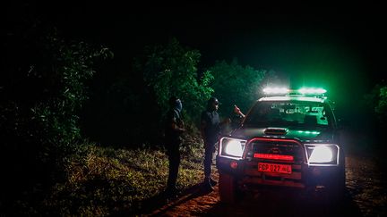 La nuit, à bord de gros pick-up, les gardes privés patrouillent dans les champs. Les voleurs sont traqués par des chiens. Quand ils sont pris en flagrant délit, ils sont neutralisés et remis à la police. "On a attrapé un minibus rempli, raconte l’un des gardes à l’AFP. "On fait de notre mieux, mais ça devient difficile."&nbsp; &nbsp; (GUILLEM SARTORIO / AFP)