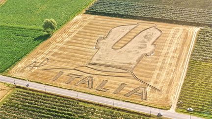 Non, ce n'est pas un message des extraterrestres, mais l'&oelig;uvre d'un artiste italien pour supporter son &eacute;quipe nationale, r&eacute;alis&eacute;e avec un tracteur dans un champ pr&egrave;s de V&eacute;rone (Italie).&nbsp;La cr&egrave;te de Mario Balotelli est devenu le symbole de cette Squadra Azzura 2012. (DARIO GAMBARINI / AP PHOTO)