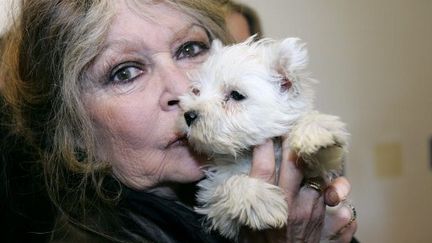 Brigitte Bardot en décembre 2005 (AFP PHOTO VALERY HACHE)