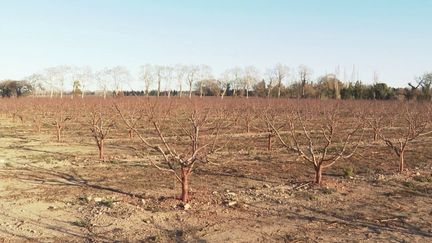 Météo : des températures record pour l'hiver (France 2)