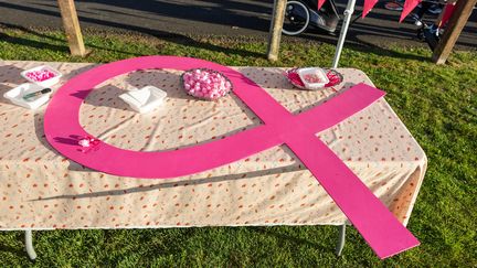 Un ruban rose, symbole de la campagne du dépistage du cancer du sein, le 15 octobre 2023 à Sainte-Geneviève-des-Bois (Essonne). (DENIS TRASFI / MAXPPP)