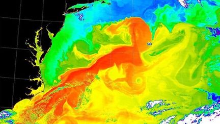 Image thermique du Gulf Stream - NASA (AFP Photo Nasa)