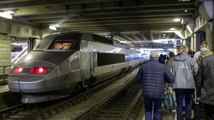 Un TGV à la gare Montparnasse, à Paris, le 6 juin 2019. (MAUD DUPUY / HANS LUCAS / AFP)