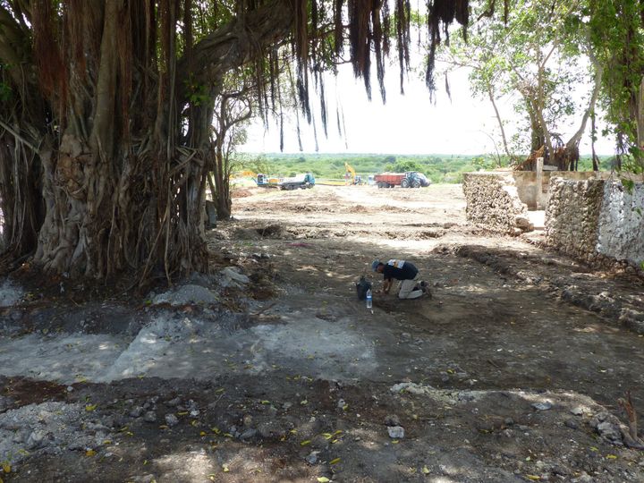 Fouilles sur le site de la sucrerie Saint-Jacques à Anse-Bertrand (Guadeloupe). Sur la droite, mur d'un bâtiment du XIXe siècle. En arrière-plan, les restes du quartier des esclaves.
 (Inrap - Thomas Romon)