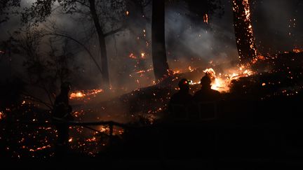 Anglet : Incendie de forêt en pleine ville