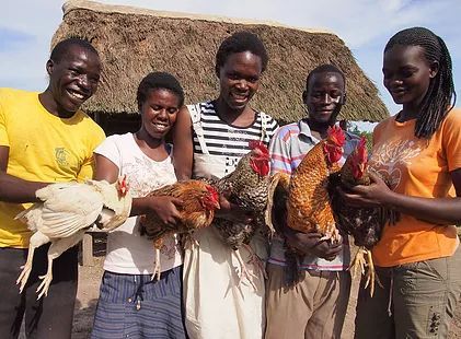 Des éleveurs africains avec leurs poules  (Courtesy Koen Vanmechelen )