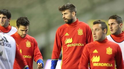 L'équipe d'Espagne de football lors d'un entraînement, le 16 novembre 2015, à la veille d'un match amical contre la Belgique qui a finalement été annulé.&nbsp; (BRUNO FAHY / BELGA MAG / AFP)