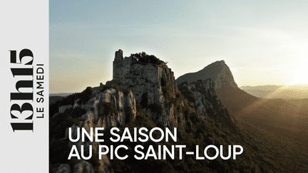 "13h15 le samedi". Une saison au pic Saint-Loup (13H15 LE SAMEDI / FRANCE 2)