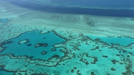 Une vue aérienne de la Grande Barrière de corail en Australie, en novembre 2014. (SARAH LAI / AFP)