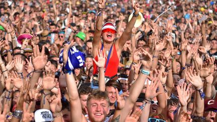 Le public dans la fosse devant un concert au Festival des Vieilles charrues, à&nbsp;Carhaix-Plouge (Finistère) en 2019. (LOIC VENANCE / AFP)