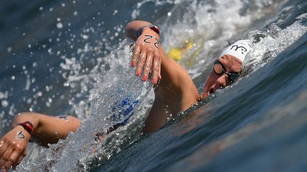 La nageuse Aurélie Muller lors des dix kilomètres de nage en eau libre aux Jeux olympiques à Rio (Brésil), le 15 août 2016. (RAMIL SITDIKOV / SPUTNIK / AFP)