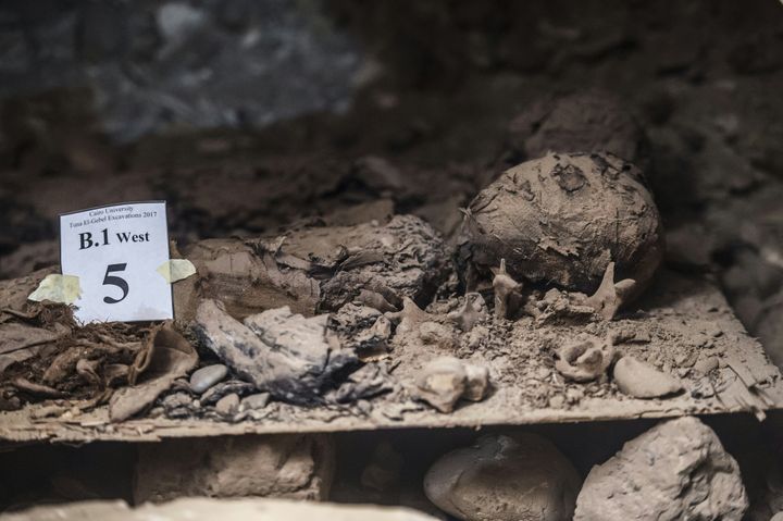 L'une des momies découvertes.
 (KHALED DESOUKI / AFP)