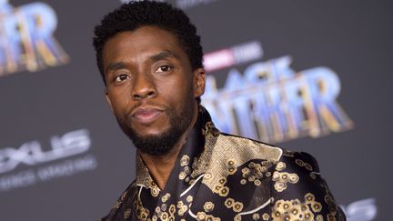 Le comédien Chadwick Boseman lors de la première du film "Black Panther" à&nbsp;Los Angeles (Californie), le 29 janvier 2018.&nbsp; (VALERIE MACON / AFP)