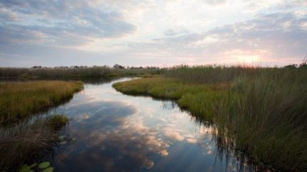 Le delta d'okavango, au Botswana, région très touristique où s'est produit l'accident. (Ryan Benyi / Image Source)