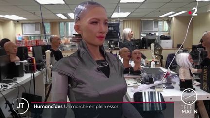 Les robots humanoïdes, un marché en plein boom