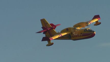 Après plusieurs jours d'incendies, le danger s'éloigne en Corse et les habitants peuvent à nouveau circuler librement mercredi 12 février. (FRANCE 3)