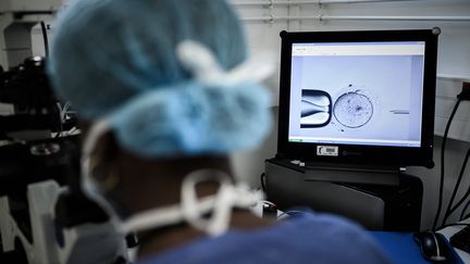 Le laboratoire du service de biologie et de la reproduction de l'hôpital Tenon à Paris. (PHILIPPE LOPEZ / AFP)