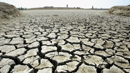 Lac totalement asséché près de Caraman en Haute-Garonne, ici en 2003. (LIONEL BONAVENTURE / AFP)