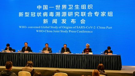 Les experts de l'OMS lors d'une conférence à Wuhan (Chine), le 9 février 2021. (HECTOR RETAMAL / AFP)