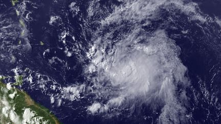 Une photo satellite de la temp&ecirc;te cyclonique Chantal, le 8 juillet, prise par la&nbsp;National Oceanic and Atmospheric Administration. (HO / NOAA / AFP)