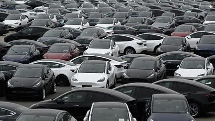 Tesla electric vehicles stored in the port area of ​​Zeebrugge, northern Belgium, on June 21, 2024 (illustrative photo). (JOHN THYS / AFP)