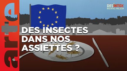 Désintox. Non, L'UE ne met pas d'insectes dans nos assiettes. (ARTE/2P2L)