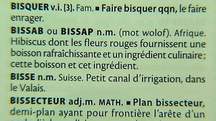 Bissap entre aux dictionnaires
 (FranceO/culturebox)