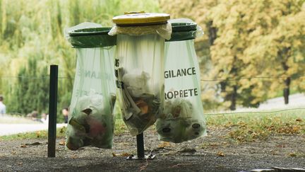 Des poubelles dans un parc à Paris. (MICHËLE CONSTANTINI / MAXPPP)