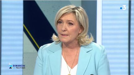 Marine Le Pen
23 janvier 2022 (CAPTURE D'ECRAN "DIMANCHE EN POLITIQUE" / FRANCE 3)