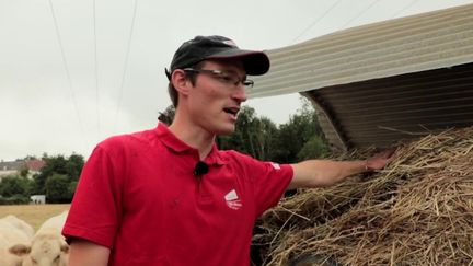 Sécheresse : les agriculteurs s'inquiètent pour leurs récoltes et leurs troupeaux (FRANCEINFO)