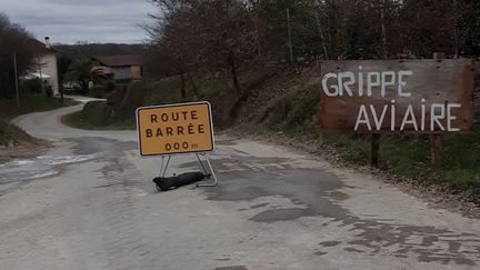 Agriculture : la grippe aviaire gagne du terrain, pour la deuxième année consécutive