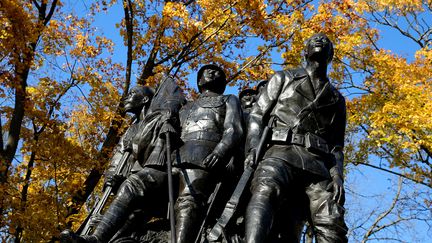 La statue "Aux héros de l'armée noire" dans un parc de Reims (Marne), le 5 novembre 2018. (FRANCOIS NASCIMBENI / AFP)