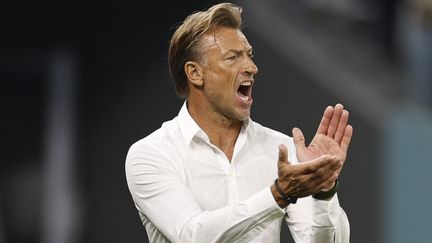 Hervé Renard, sélectionneur de l'Arabie saoudite lors de la Coupe du monde au Qatar, le 26 novembre 2022. (KHALED DESOUKI / AFP)