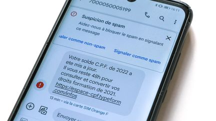 Un SMS publicitaire d'arnaque au sujet de l'utilisation des heures disponibles sur le compte personnel de formation (CPF), en janvier 2022.&nbsp; (NICOLAS GUYONNET / HANS LUCAS / AFP)