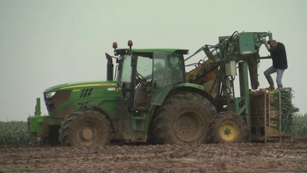 Agriculture : les maraîchers normands souffrent des intempéries