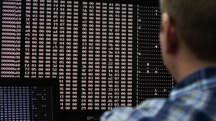 Un analyste scrute le code dans un laboratoire travaillant sur la cybers&eacute;curit&eacute; dans l'Idaho, aux Etats-Unis, le 29 septembre 2011. (JIM URQUHART / REUTERS)