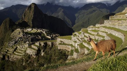 Le Machu Picchu au Pérou, le 2 décembre 2014. (ENRIQUE CASTRO-MENDIVIL / REUTERS)