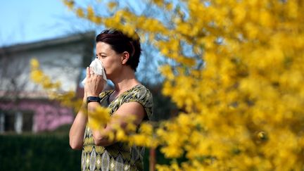 Ambroisie : alerte aux allergies