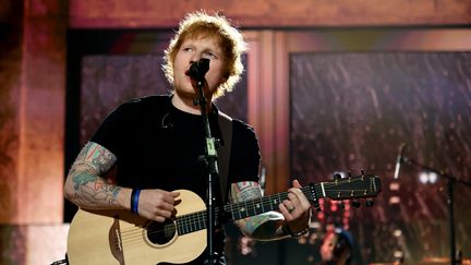 Ed Sherran, en concert à Los Angeles (Californie), le 5 novembre 2022. (THEO WARGO / GETTY IMAGES NORTH AMERICA via AFP)