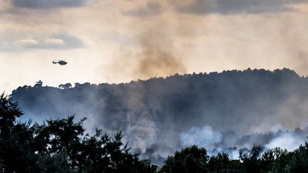 Un feu de forêt à Gruissan (Aude), le 3 juillet 2021. (FRANCOIS LAURENS / HANS LUCAS / AFP)