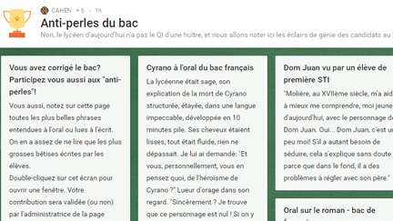 La professeure de lettre Françoise Cahen a lancé une plateforme sur Internet pour recenser les "pépites" du bac, mercredi 5 juillet 2017. (CAPTURE ECRAN / PADLET.COM)