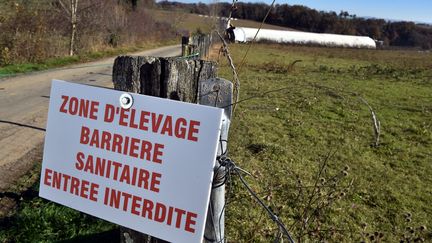 Les mesures de restriction de mouvements et de transport de volaille prises sur plusieurs communes du nord de la Vendée&nbsp;ont été levées dimanche 4 décembre 2016. (THIERRY BORDAS / MAXPPP)