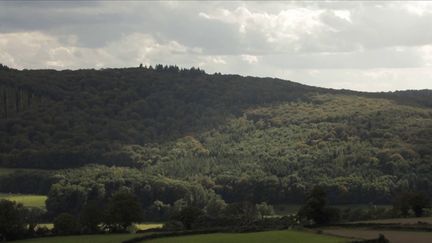 Depuis la crise liée au&nbsp;Covid-19, de nombreux Français ont décidé de changer radicalement de vie et de métier.&nbsp;Souvent, ce sont des citadins qui ont déménagé pour la campagne.&nbsp;Le JT du 12/13 a suivi un couple dans sa nouvelle vie.&nbsp; (CAPTURE D'ÉCRAN FRANCE 3)