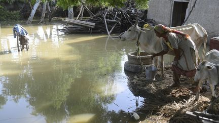 La ville de Sukkur (Pakistan) est inondée, le 28 août 2022. (ASIF HASSAN / AFP)