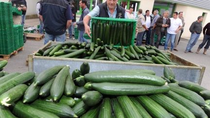 Un maraîcher jette des concombres dans une benne avant de les détruire, le 06 juin 2011 à Carquefou (AFP PHOTO FRANK PERRY)