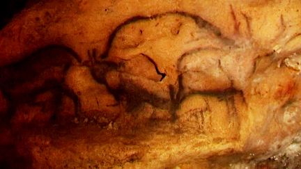 La dernière grotte avec des peintures polychromes encore ouverte au public 
 (Grotte Font-de-Gaume - Capture d&#039;image France3/Culturebox)