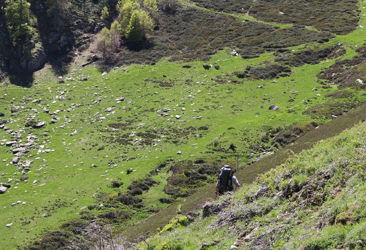 J&eacute;r&ocirc;me Sentilles, technicien de l'Office national de la chasse et de la faune sauvage (ONCFS), le 15 mai 2014, dans la vall&eacute;e du Rib&eacute;rot (Ari&egrave;ge). (BENOIT ZAGDOUN / FRANCETV INFO)