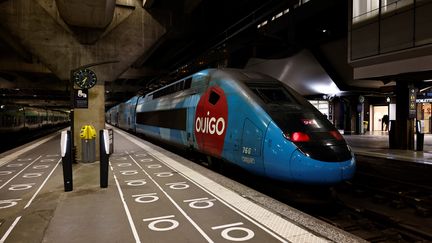 Un rame de TGV Ouigo à la gare Montparnasse, à Paris, le 7 février 2023. (SAMEER AL-DOUMY / AFP)